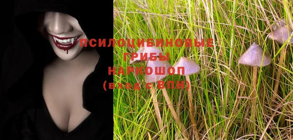 спиды Горнозаводск