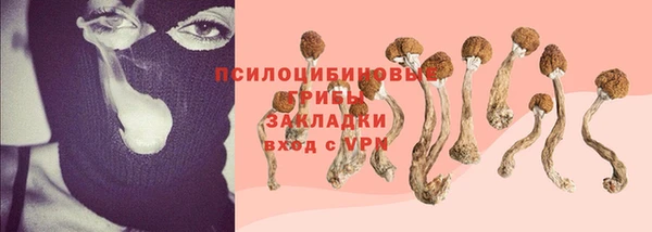 спиды Горнозаводск