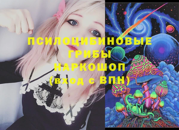 спиды Горнозаводск