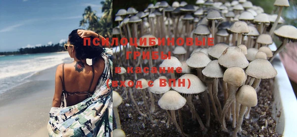 Альфа ПВП Карпинск